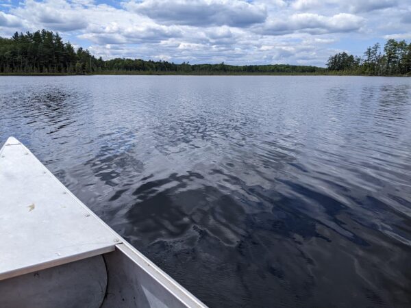 Great Lakes states and provinces unite on sustainable farming research and innovation plan