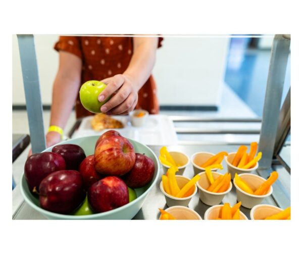 Michigan budget returns funding for 10 Cents a Meal program