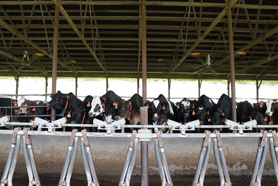 Missouri dairy sector expanding with two new operations planned
