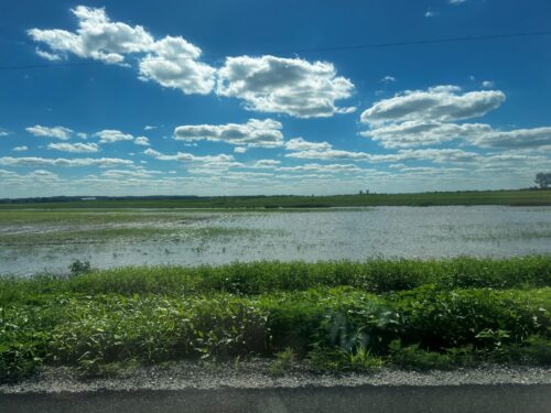 Crop insurance guidance key for farmers recovering from June storms
