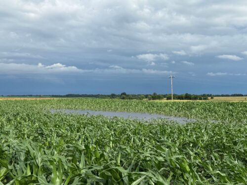 Heavy Missouri rains flood fields, delay crop decisions as farmers await replant outlook