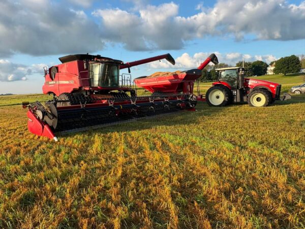 North Iowa farmer pleased with oat yield, test weight