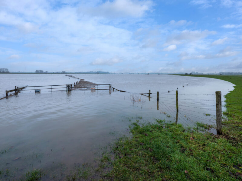 Missouri farmers report cattle losses, flooded fields after historic rain