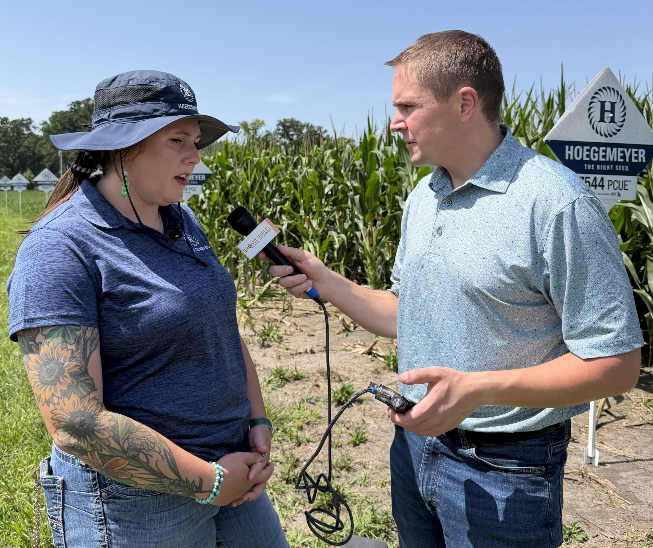 Kansas agronomist warns of rising corn disease pressure